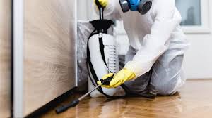 Best Fumigation Services  in Valle Vista, AZ