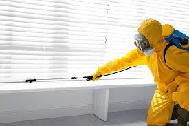 Best Outdoor Pest Control  in Valle Vista, AZ